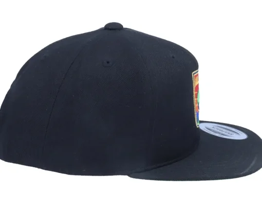 Kids Aliens Logo Black Snapback - Kiddo Cap