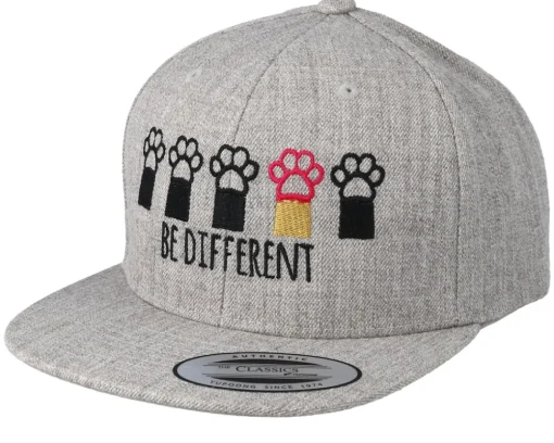 Kids Be Different Heather Grey Snapback - Kiddo Cap
