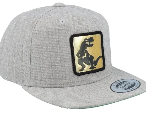 Kids Dino Gold Patch Heather Grey Snapback - Kiddo Cap