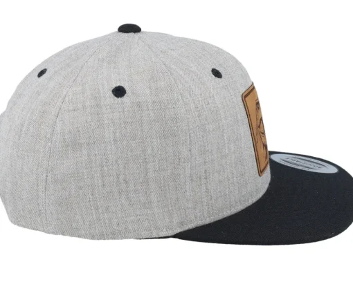 Kids Dinosaur T-rex Heather Grey/Black Snapback - Kiddo Cap