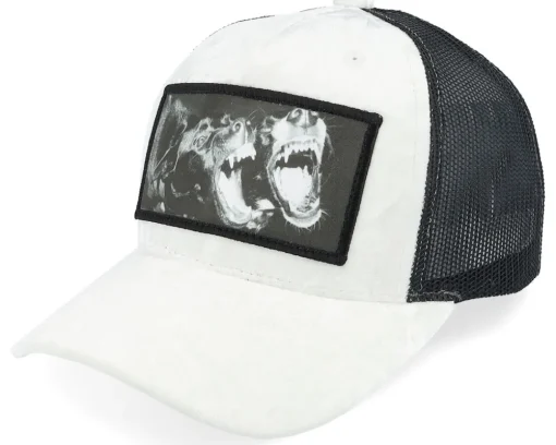 Kids Dogs Velvet Green/Black Trucker - Calza Pennello