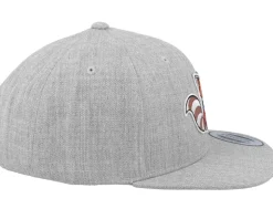 Kids Hatsie The Red Panda Heather Grey Snapback - Kiddo Cap