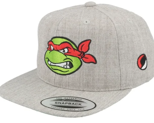Kids Raphael Face Grey Snapback - TMNT