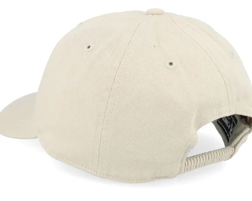 Kids Spinosaurus Skeleton Patch Stone Dad Cap - Kiddo Cap