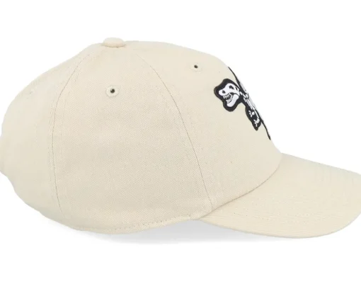Kids Spinosaurus Skeleton Patch Stone Dad Cap - Kiddo Cap