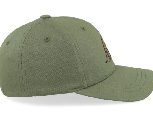 Kids T-rex Dino Brown Patch Olive Adjustable - Kiddo Cap