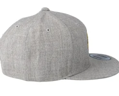 Kids T-Rex Park Grey Snapback - Kiddo Cap