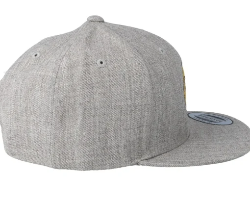 Kids T-Rex Park Grey Snapback - Kiddo Cap