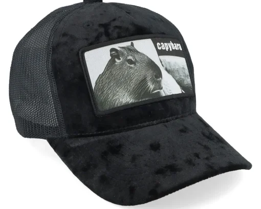 Kids Youth Capybara Sofa Velvet Black Trucker - Iconic