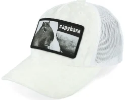 Kids Youth Capybara Sofa Velvet Black Trucker - Iconic