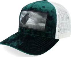 King Of Lion Big Patch Velvet Black Trucker - Calza Pennello