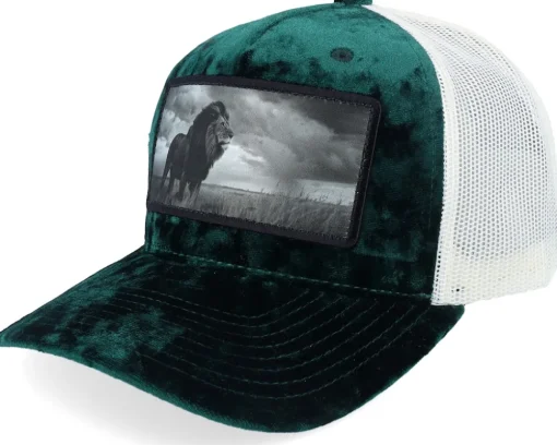 King Of Lion Big Patch Velvet Black Trucker - Calza Pennello