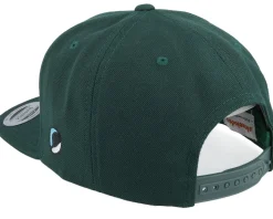 Leonardo Face Dark Green Snapback - TMNT
