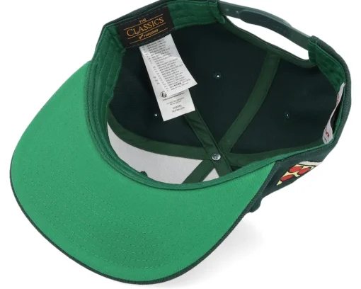 Leonardo Face Dark Green Snapback - TMNT