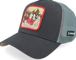 Looney Tunes Tasmanian Devil Taz Dark Grey Trucker - Capslab
