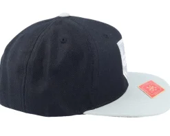 Los Angeles Kings Silver Fox Black Snapback - American Needle