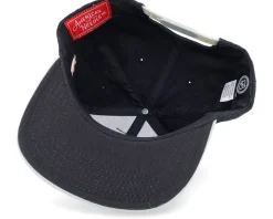 Los Angeles Kings Silver Fox Black Snapback - American Needle