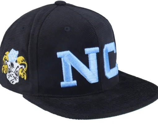 Louisiana State Tigers All Directions Purple Snapback - Mitchell & Ness
