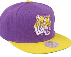Louisiana State Tigers Team 2 Tone 2.0 Purple/Yellow Snapback - Mitchell & Ness