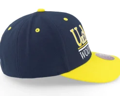 Michigan Wolverines Gpa Navy/White Adjustable - Mitchell & Ness
