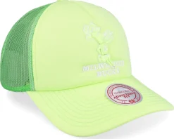 Milwaukee Bucks Nba Pastel Green Trucker - Mitchell & Ness