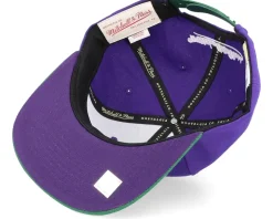 Milwaukee Bucks Core Basic Purple Snapback - Mitchell & Ness