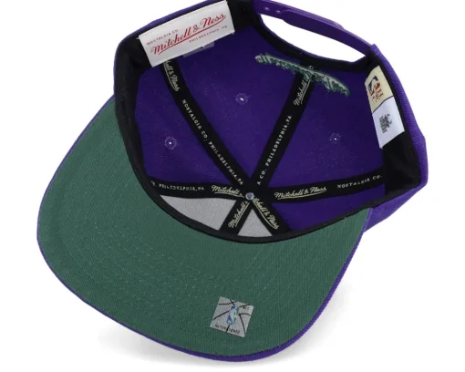 Milwaukee Bucks Paint By Number Hwc Purple Snapback - Mitchell & Ness