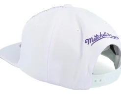 Milwaukee Bucks 90's Playa Ray Allen White Snapback - Mitchell & Ness