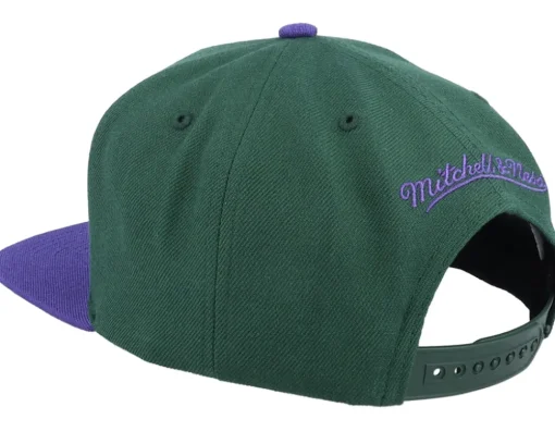 Milwaukee Bucks Team 2 Tone Green/Purple Snapback - Mitchell & Ness