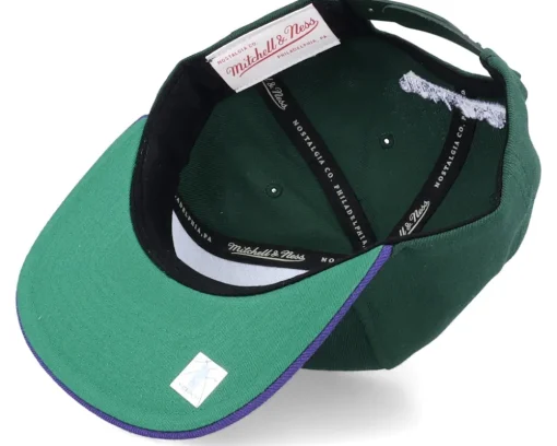 Milwaukee Bucks Team 2 Tone Green/Purple Snapback - Mitchell & Ness