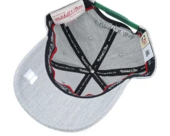 Milwaukee Bucks Team Heather Grey Adjustable - Mitchell & Ness