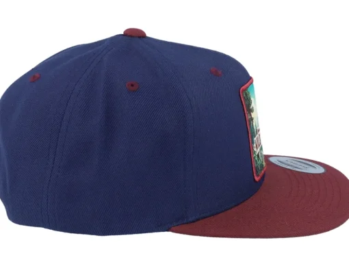 Mountain Forest Logo Box Navy/Maroon Snapback - Wild Spirit
