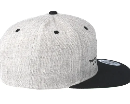 One Day Grey Snapback - Iconic