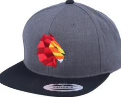 Paper Lion Charcoal/Black Snapback - Origami