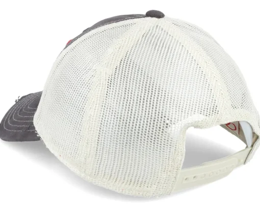 Pbc Rainier Orville Black/Stone Trucker - American Needle