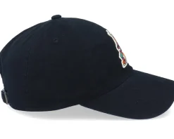 Phoenix Coyotes Blue Line Black - American Needle