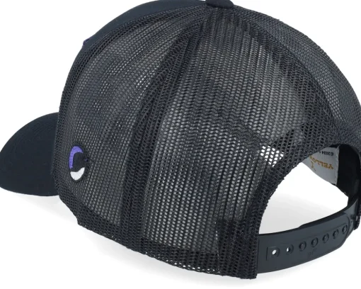 Protect The Land Black A-Frame Trucker - Yellowstone