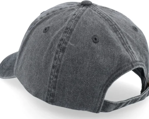 Raccoon Pedro Round Patch Washed Black Dad Cap - Scenes