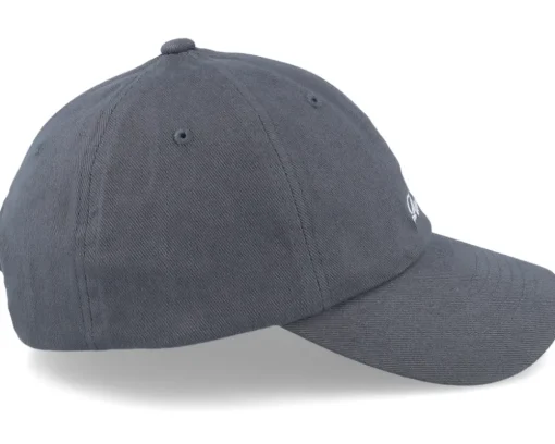 Single Script Dark Grey Dad Cap - Reell