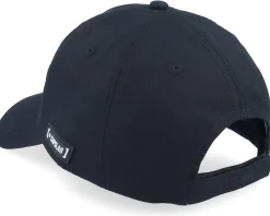 Snoopy & Woodstock Black Dad Cap - Capslab