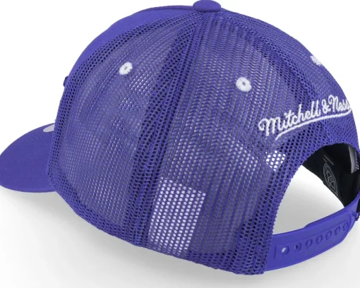 Tampa Bay Lightning Team Seal Blue Trucker - Mitchell & Ness
