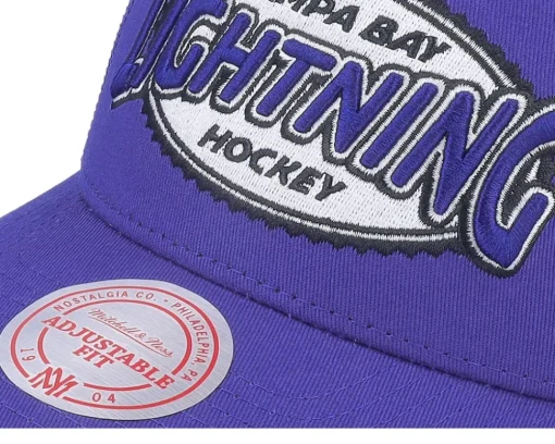 Tampa Bay Lightning Team Seal Blue Trucker - Mitchell & Ness