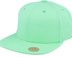 Teal Sustainable Snapback - Park