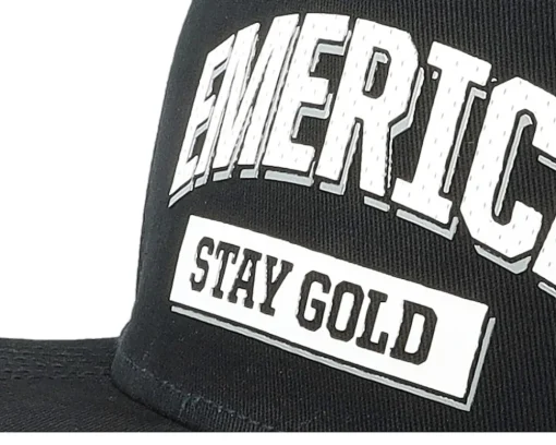 Team Stay Gold Black Snapback - Emerica