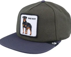 Top Dog Wildlife Olive/Navy Snapback - Goorin Bros.