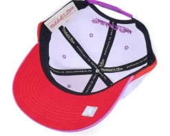 Toronto Raptors Retrodome Pro Purple Adjustable - Mitchell & Ness
