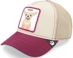 Updog Yo Quiero Beige Trucker - Goorin Bros.