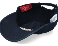 Vancouver Canucks Blue Line Black Dad Cap - American Needle