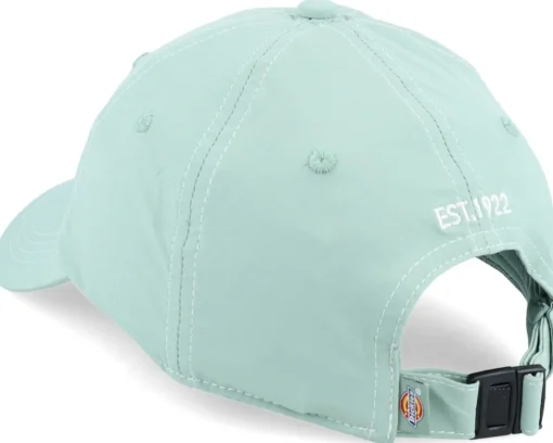 Wilsall Cap Iceberg Green Dad Cap - Dickies
