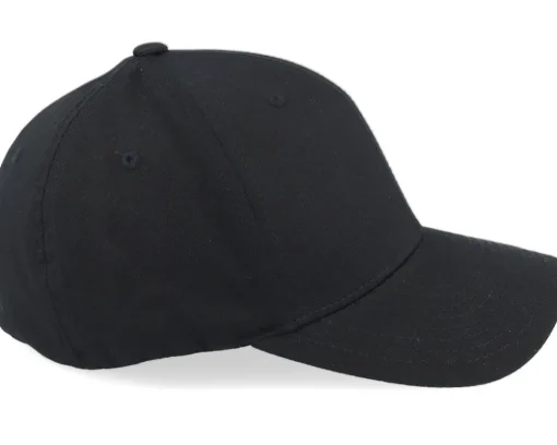 Windrose Mountain Brown Patch Black Flexfit - Wild Spirit
